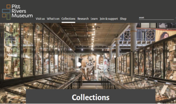 pitt rivers museum collections