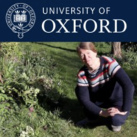 Illustration only - Oxford University branded screen shot of the podcast image showing Lindsay Turnbull sitting on the grass in the sun.